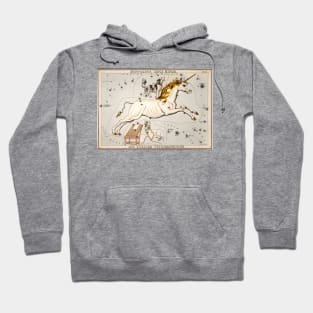 Unicorn dog vintage illustration Hoodie